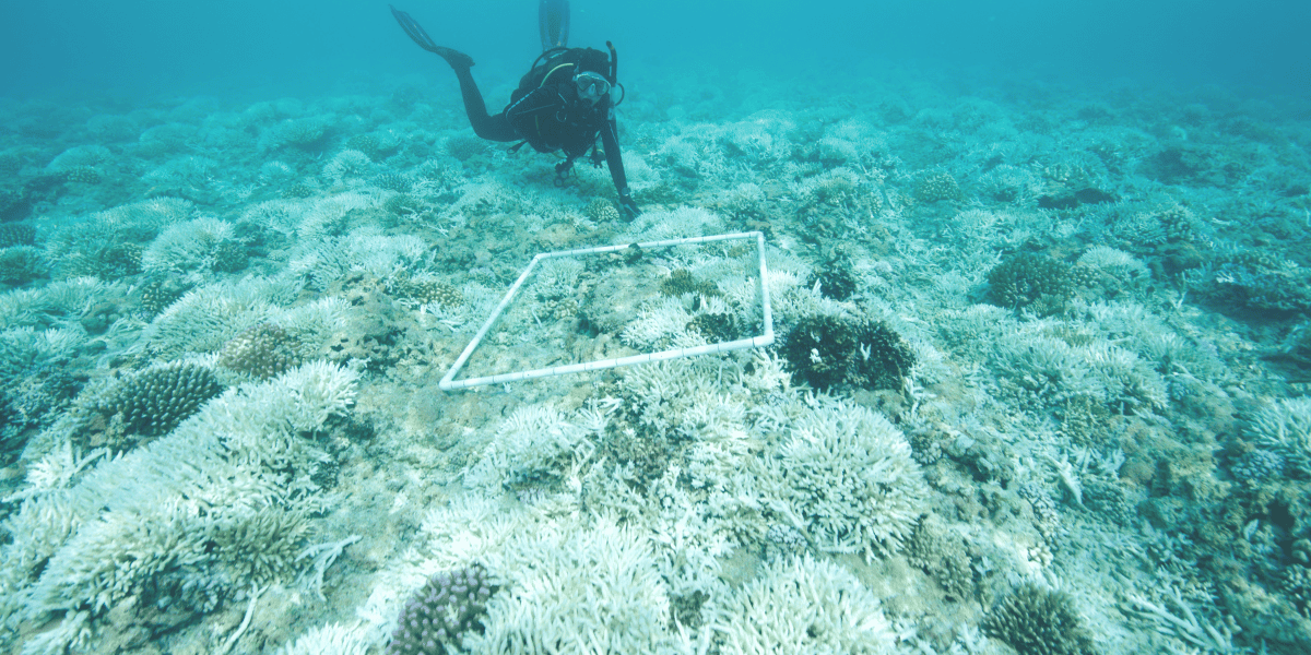Marine Biologist Salary in Malaysia Per Month
